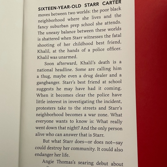 The Hate U Give Series - Picture 3 of 7